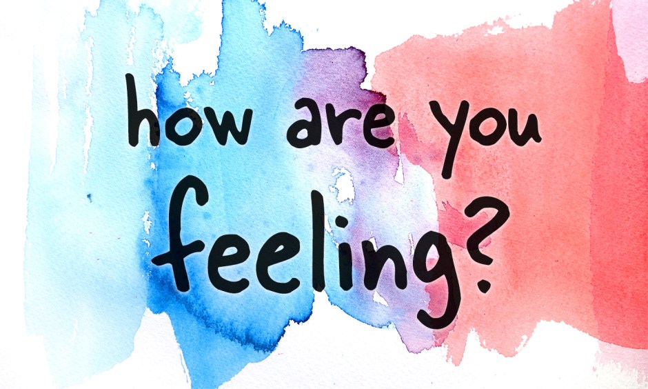 feelings emotions sanc